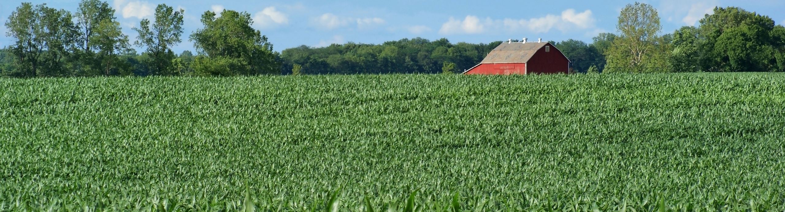 field 